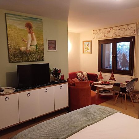 Το Σπίτι Της Ευτυχίας Στούντιο Apartment Karpenisi Bagian luar foto