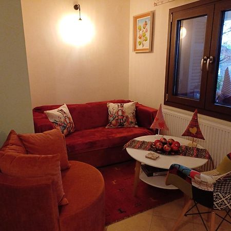 Το Σπίτι Της Ευτυχίας Στούντιο Apartment Karpenisi Bagian luar foto