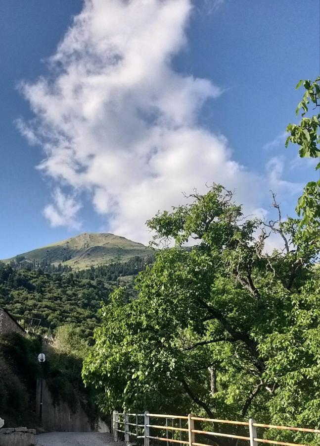 Το Σπίτι Της Ευτυχίας Στούντιο Apartment Karpenisi Bagian luar foto
